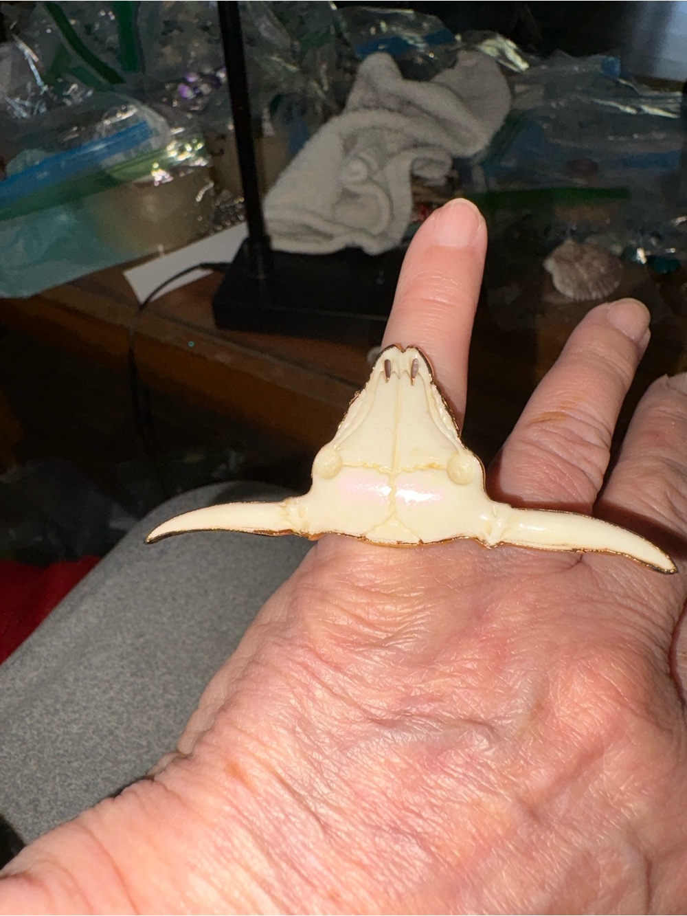 Bovine bone ring size 6 3/4